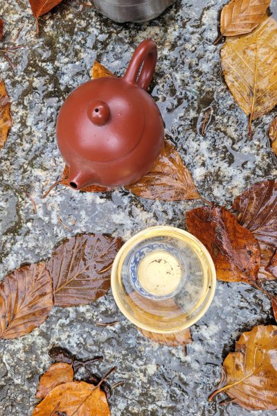 20251024_120720 20251024_120720