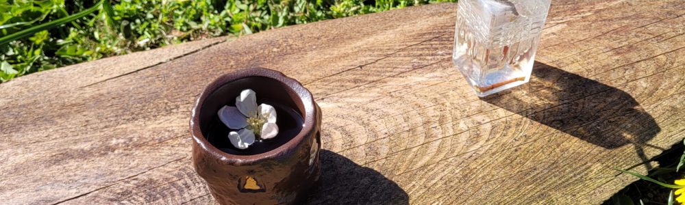 Teesetting mit Apfelblüte