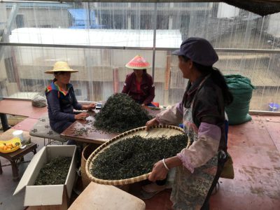 IMG_20250916_153740_051