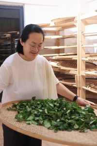 Wenzhuo.1cd302b7 Wenzhuo.1cd302b7